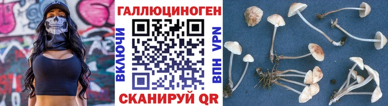 Галлюциногенные грибы MAGIC MUSHROOMS Свирск