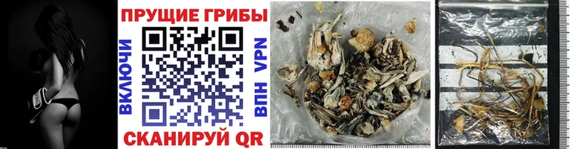 мориарти какой сайт  Свирск  Псилоцибиновые грибы GOLDEN TEACHER 